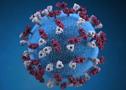 covid-19 corona virus Srbija Kolubarski okrug prenosi Objektiva.rs Valjevo News