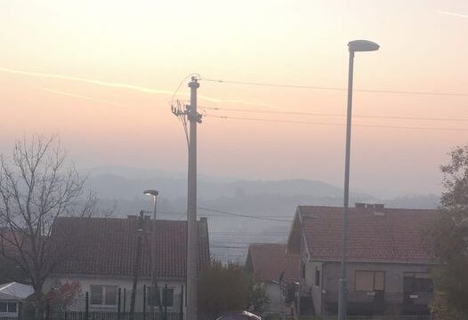 Bandera kod slikara Ljube Popovica moderna