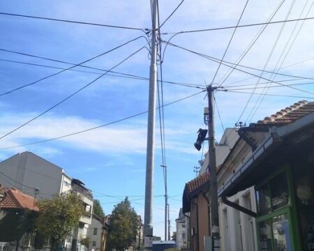 bandera Pantićeva ulica