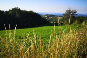 Povlen FOTO Dragan Krunić Objektiva.rs iz Valjeva vesti valjevske planine
