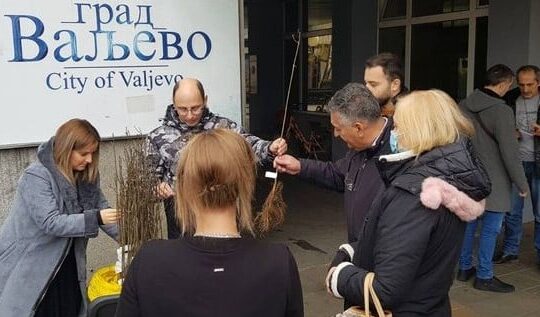 Valjevo sadnice Posadi svoj hlad