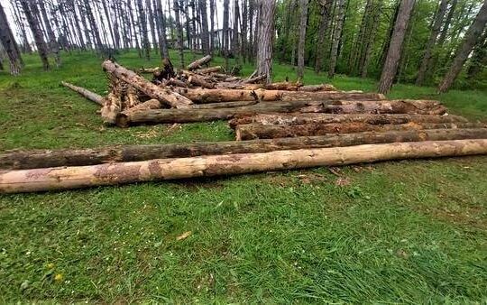Park šuma na Pećini Valjevo Objektiva.rs foto Agrorazvoj valjevske doline doo april 2022.