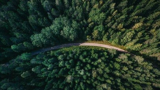šuma Inženjeri zaštite životne sredine Green Economy EP Objektiva.rs Valjevo