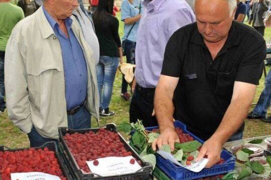Dan-maline-2013-u-Brankovini-foto-Dragan-Krunic-Objektiva.rs-Valjevo