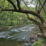 reka Gradac kanjon Valjevo Objektiva.rs Foto Snežana Jakovljević Krunić maj 2022 godine