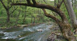reka Gradac kanjon Valjevo Objektiva.rs Foto Snežana Jakovljević Krunić maj 2022 godine