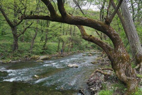 reka Gradac kanjon Valjevo Objektiva.rs Foto Snežana Jakovljević Krunić maj 2022 godine