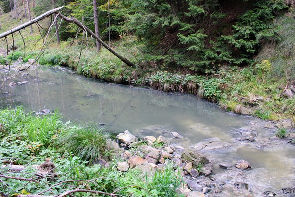 reka-Kamenica-na-Divcibarama-pocetak-oktobra-2022-uzorkovanje.jpg