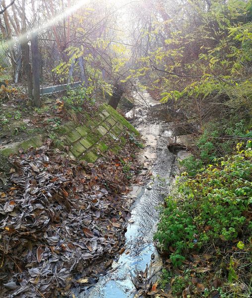 Ljubostinja-kroz-gradsko-podrucje-Valjevo-FOTO-Snezana-Jakovljevic-Krunic-Objektiva.rs
