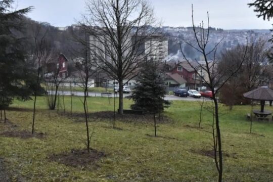 Sadnice-na-Vidraku-Agrorazvoj-i-SrbAtom-uz-podrsku-Ambasade-Maroka-posadeni-javor-i-lipa-prenosi-Objektiva.rs-Valjevo