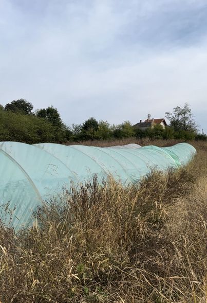 FOTO-MUP-PU-Valjevo-plastenik-droga-18-10-2023