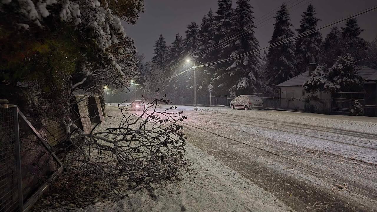 FOTO-Aleksandar-Jakovljevic-23-12-2024-Ulica-vojvode-Misica-Valjevo-palo-drvece-na-trotoaru