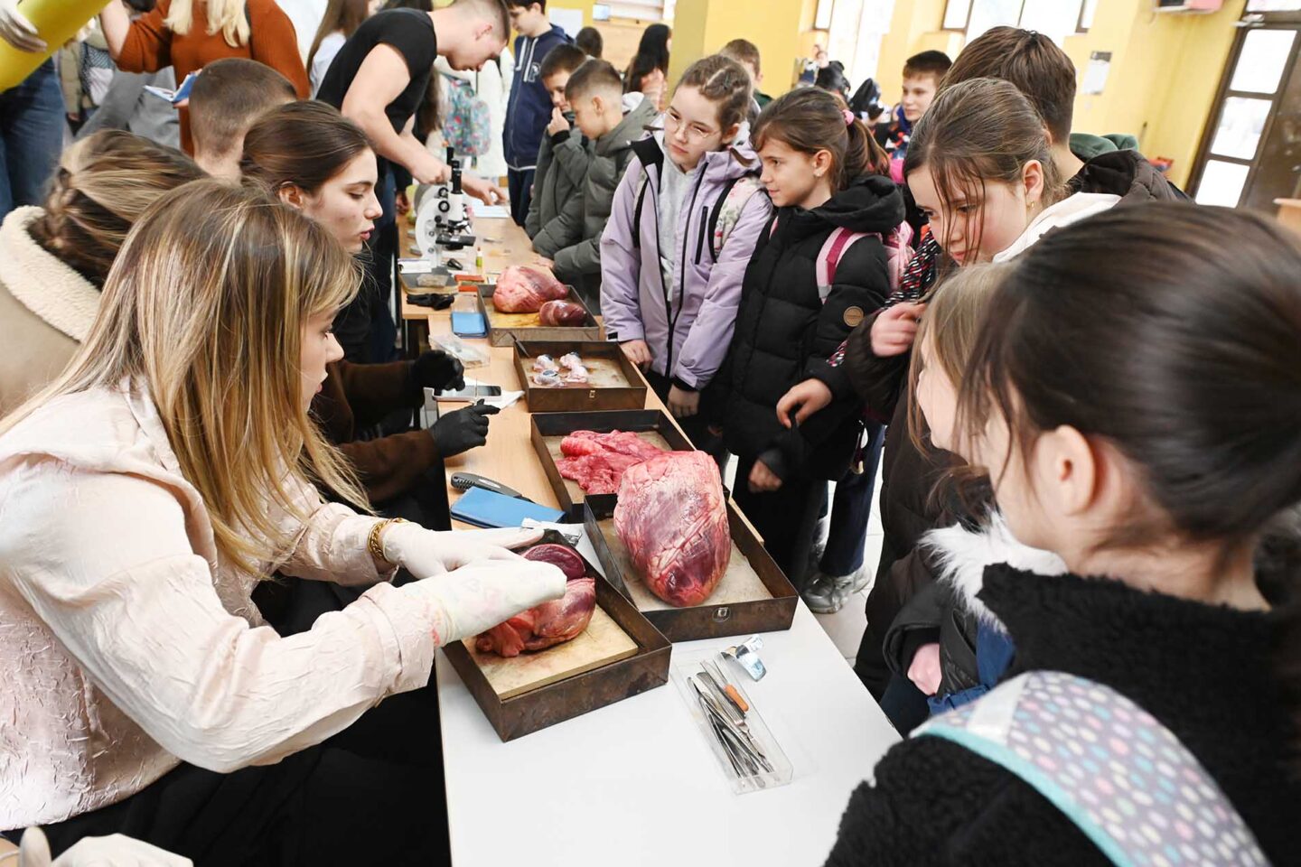 U Valjevskoj gimnaziji održan je Festival nauke